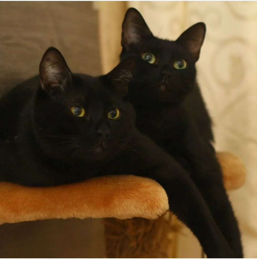 WhatsApp Image 2023-06-27 at 10.12.12.webp