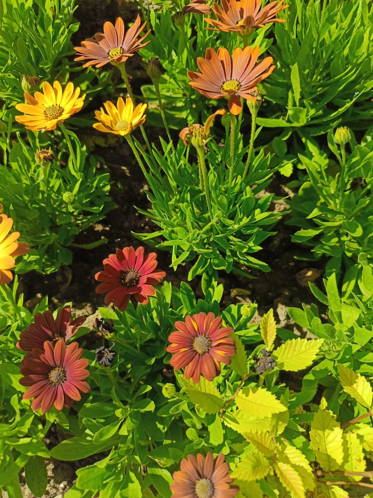 WhatsApp Image 2023-06-27 at 18.43.43.webp