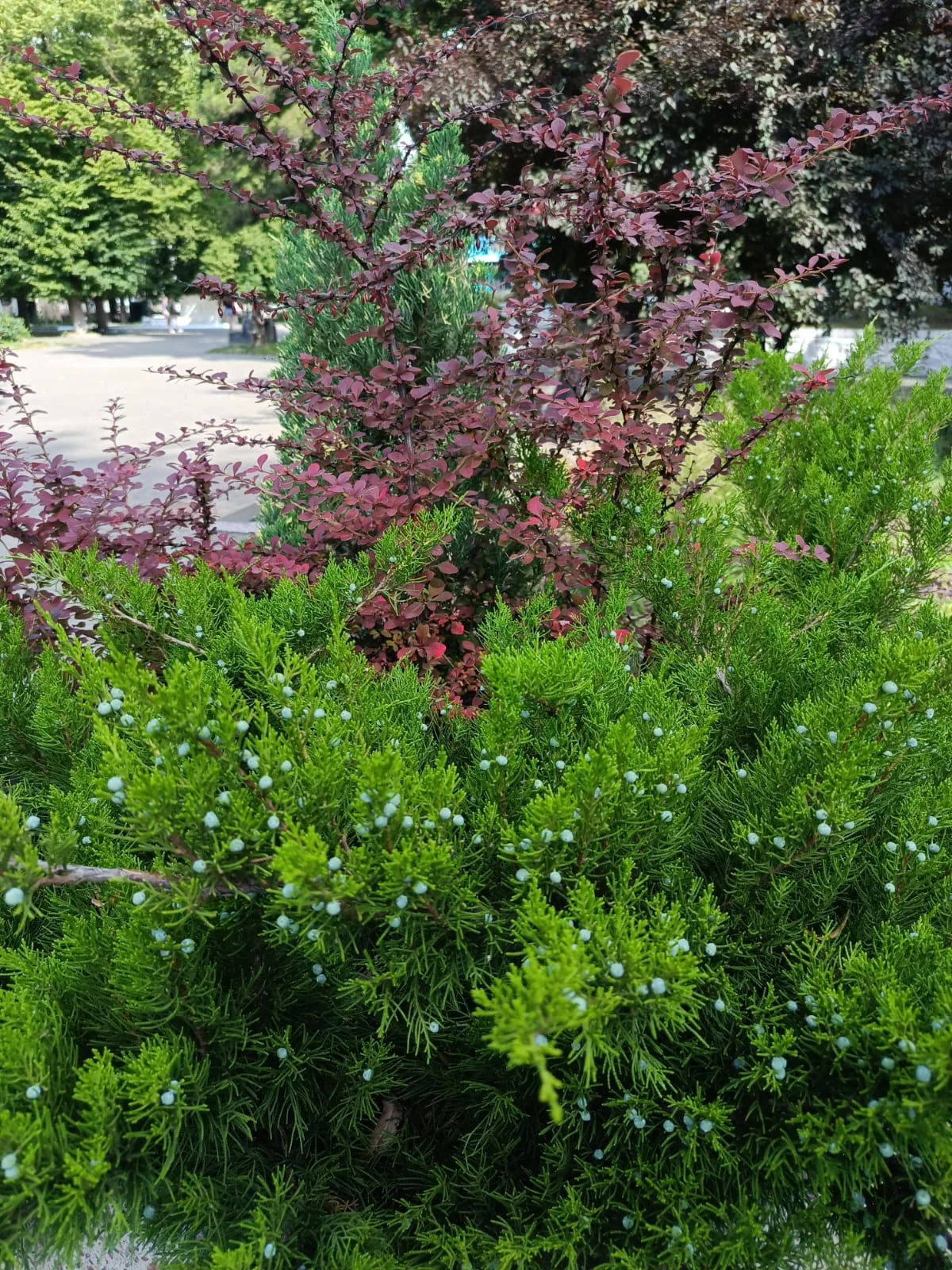 WhatsApp Image 2023-06-30 at 06.50.47.webp