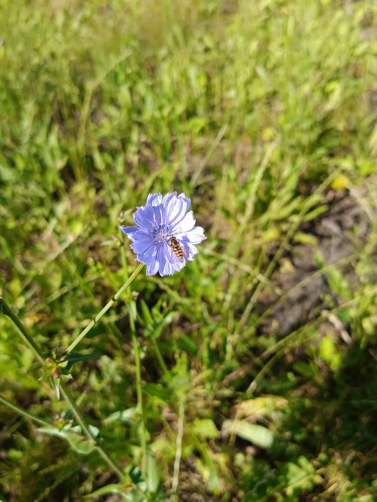 WhatsApp Image 2023-07-02 at 06.37.28.webp