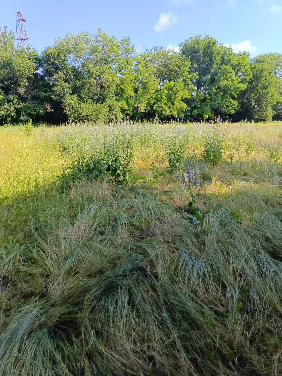 WhatsApp Image 2023-07-02 at 06.40.14.webp