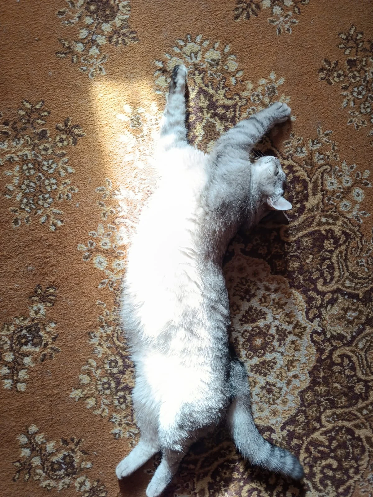 WhatsApp Image 2023-07-02 at 07.01.46.webp