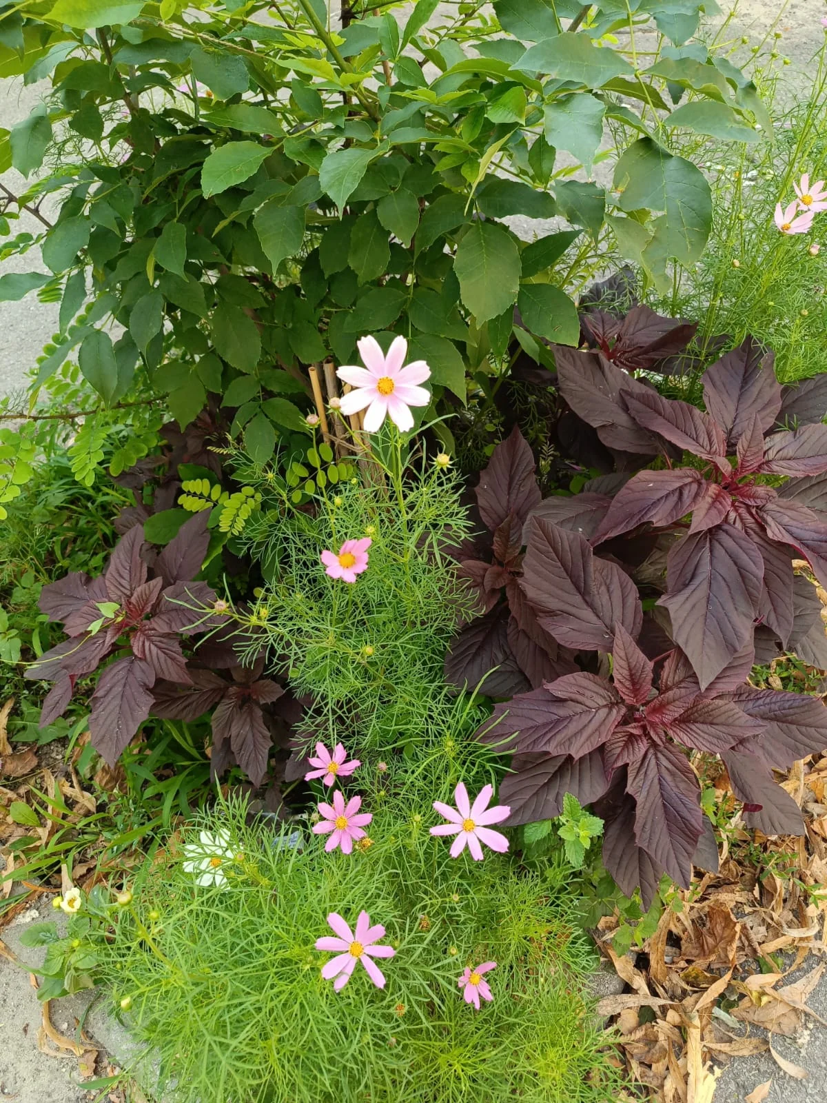 WhatsApp Image 2023-07-03 at 06.51.30.webp