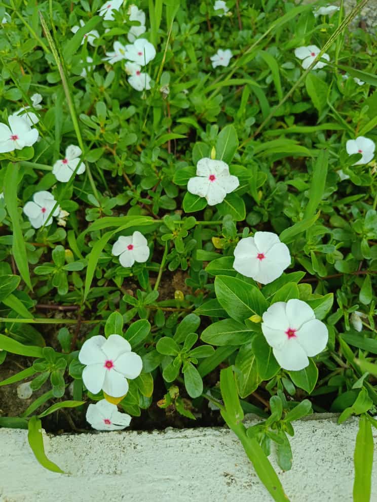 WhatsApp Image 2023-07-05 at 07.12.39.jpeg