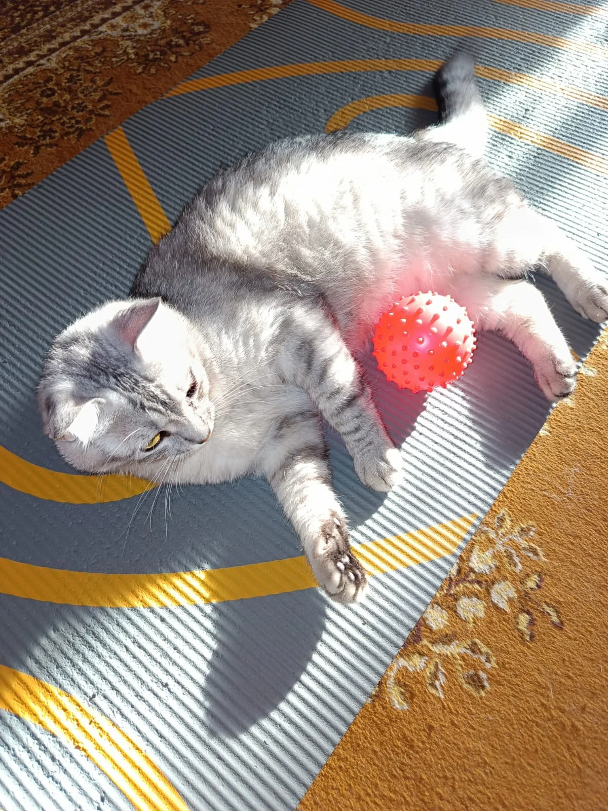 WhatsApp Image 2023-07-11 at 06.46.54.webp