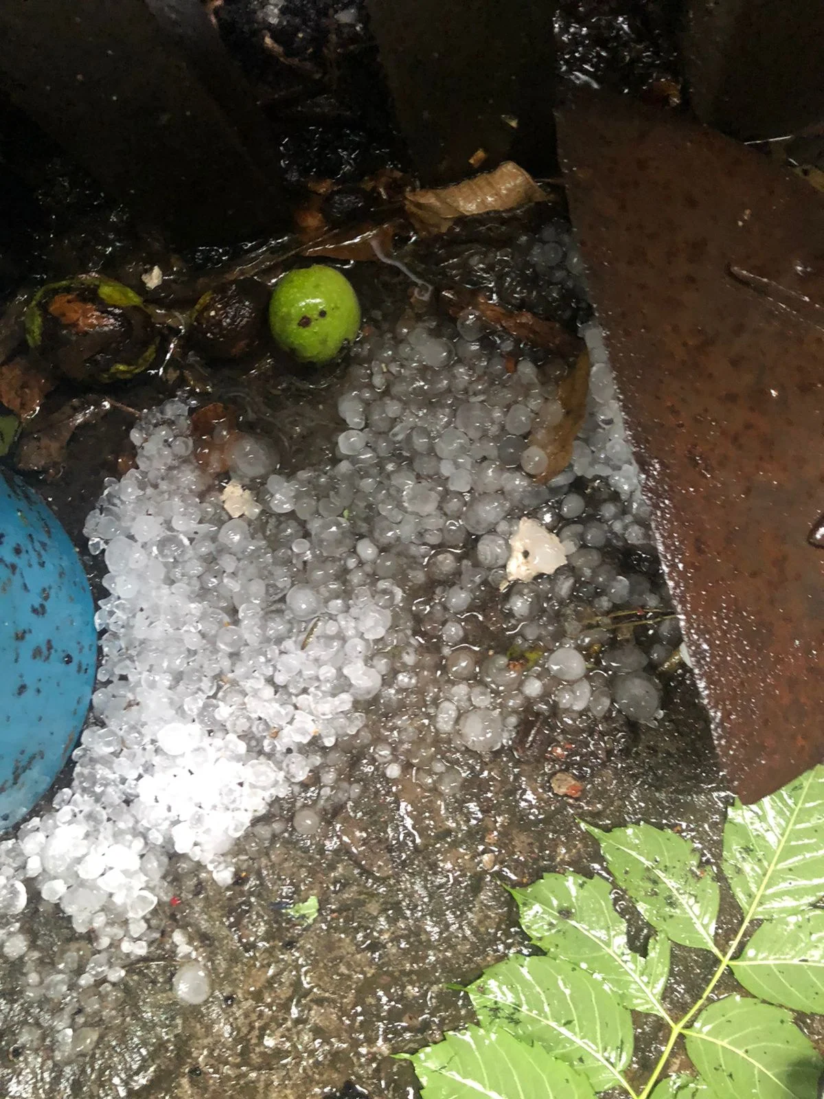 WhatsApp Image 2023-07-12 at 09.53.24.webp