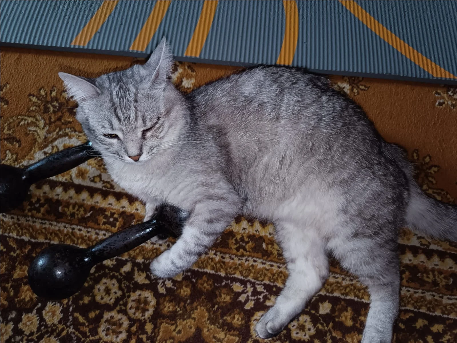 WhatsApp Image 2023-07-17 at 09.17.25.webp