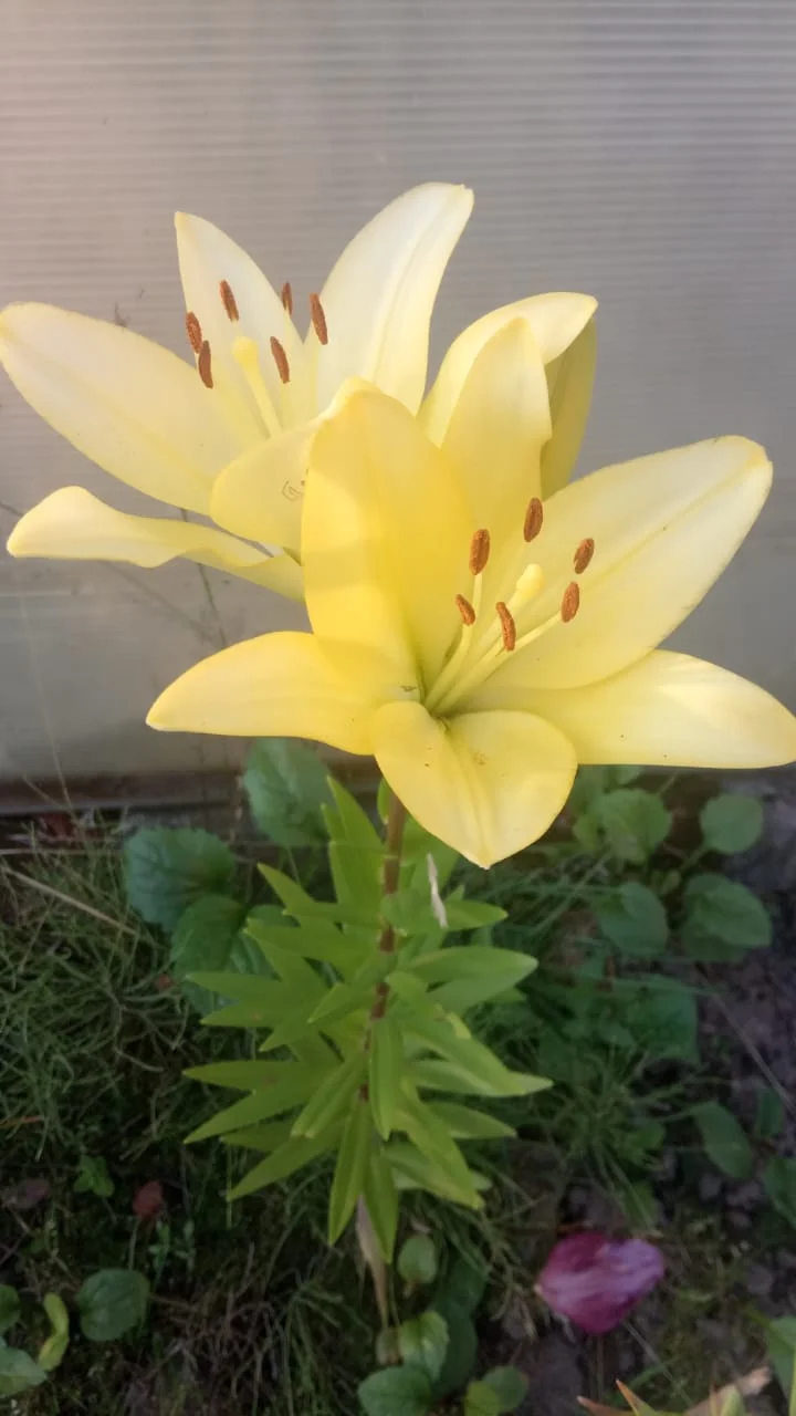 WhatsApp Image 2023-07-17 at 20.03.16.webp