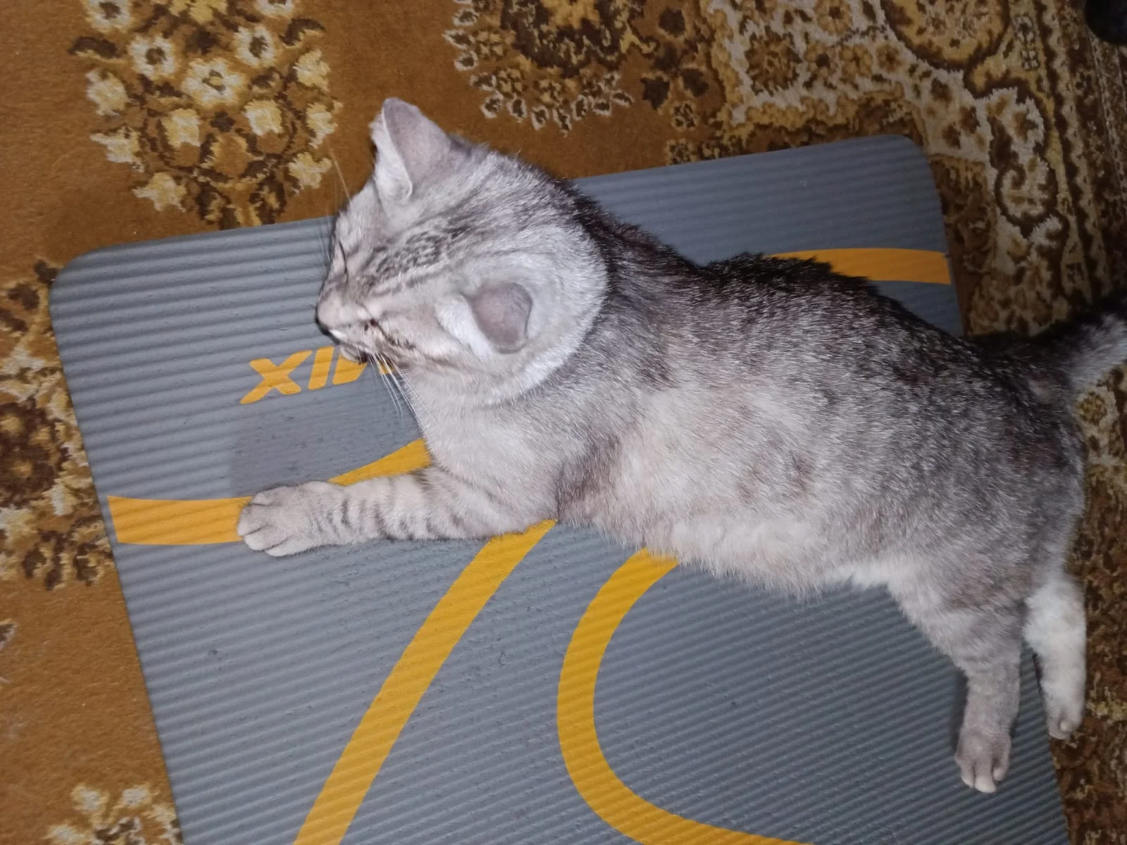 WhatsApp Image 2023-07-19 at 07.10.58.webp