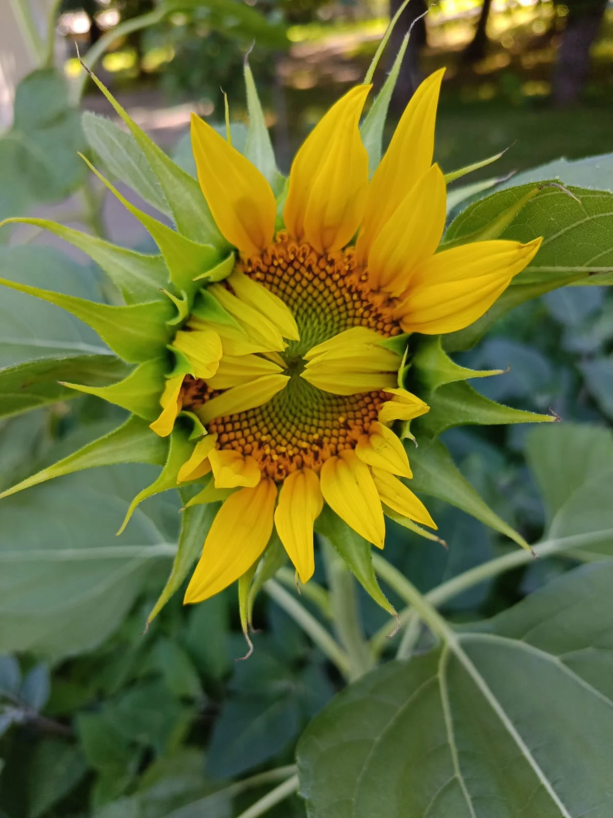 WhatsApp Image 2023-07-19 at 07.12.59.webp