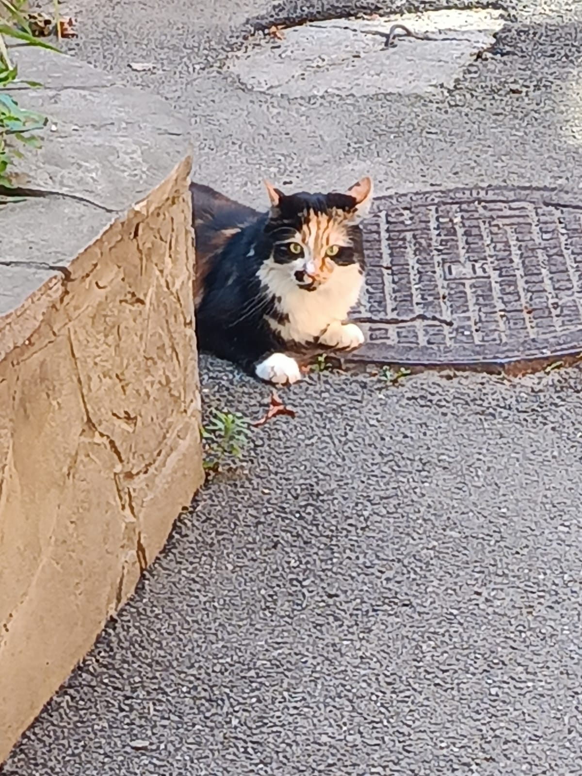 WhatsApp Image 2023-07-28 at 15.44.15.jpeg