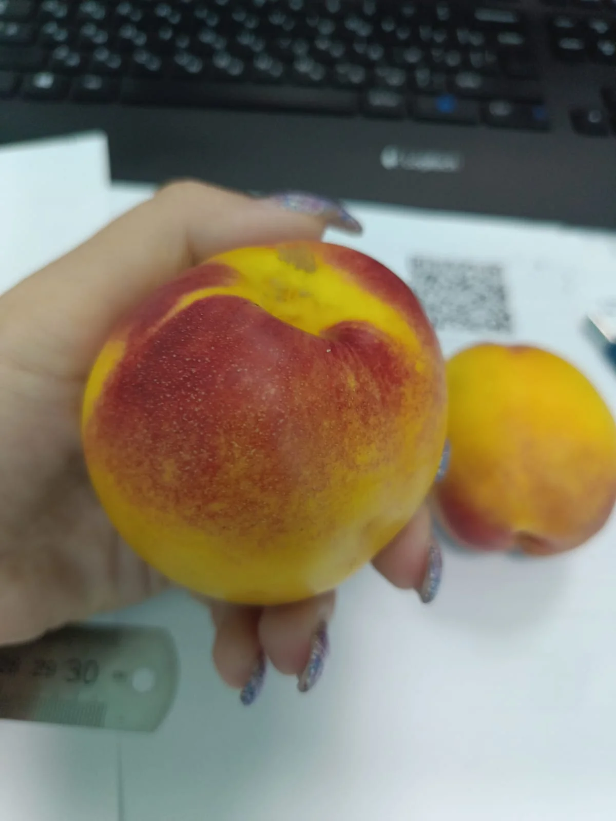 WhatsApp Image 2023-08-11 at 17.00.33.webp