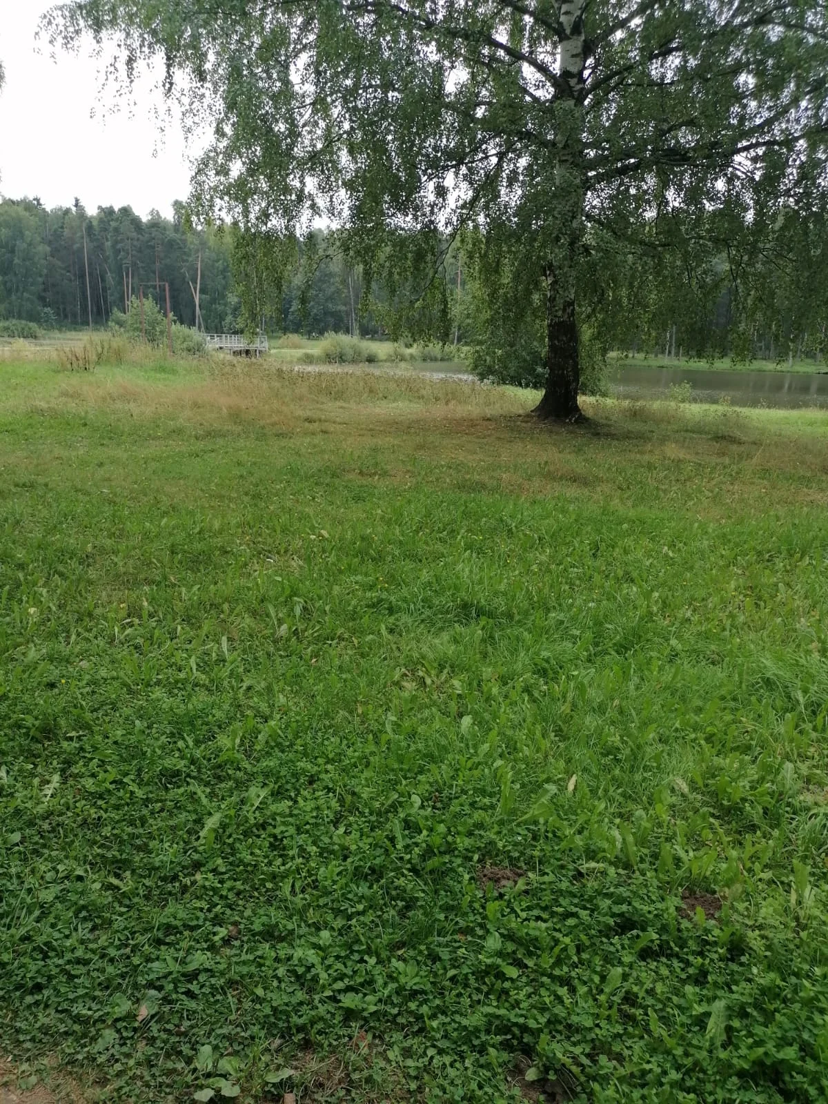 WhatsApp Image 2023-08-23 at 13.47.02 (1).webp