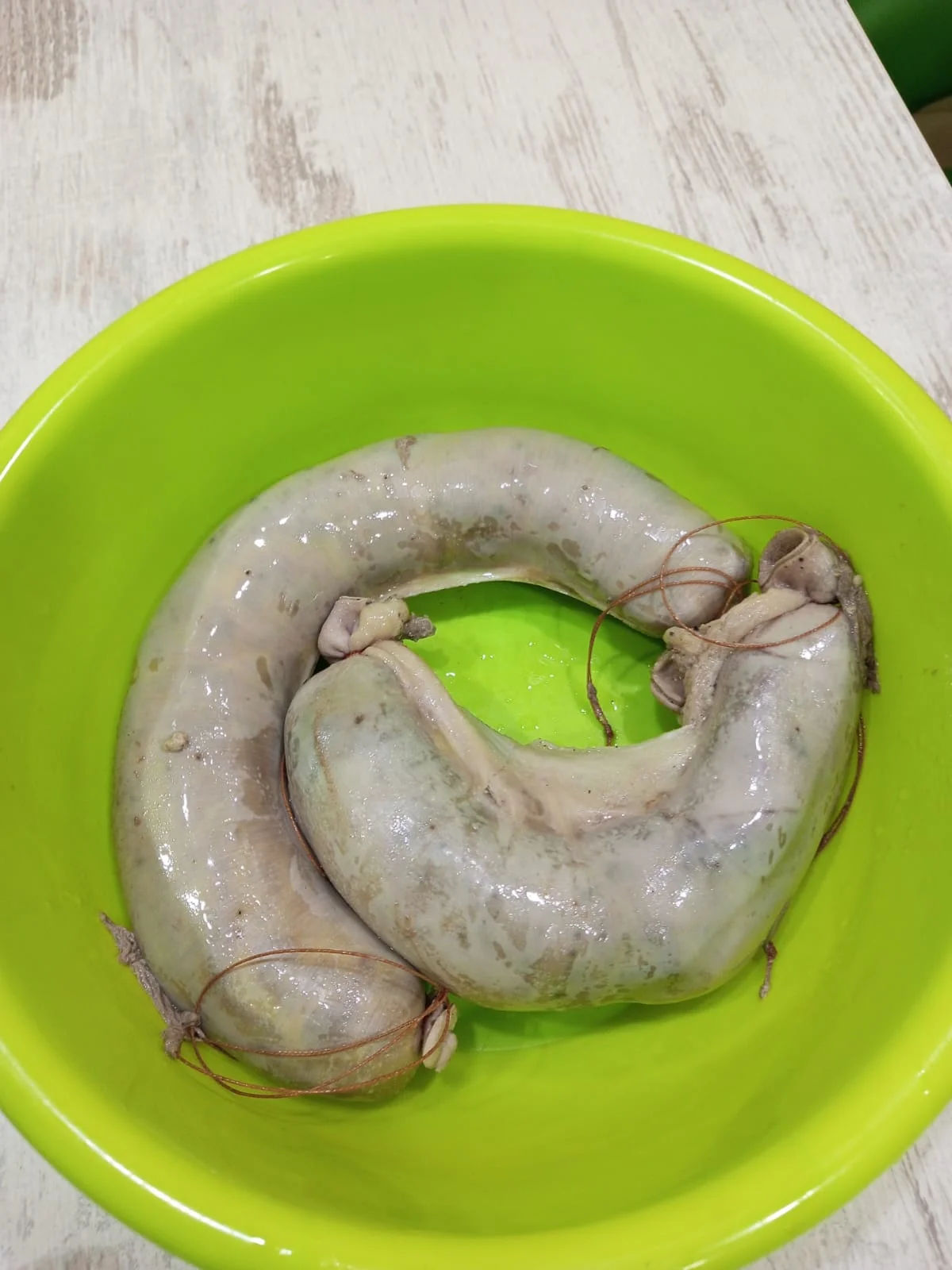 WhatsApp Image 2023-08-29 at 19.53.24.webp