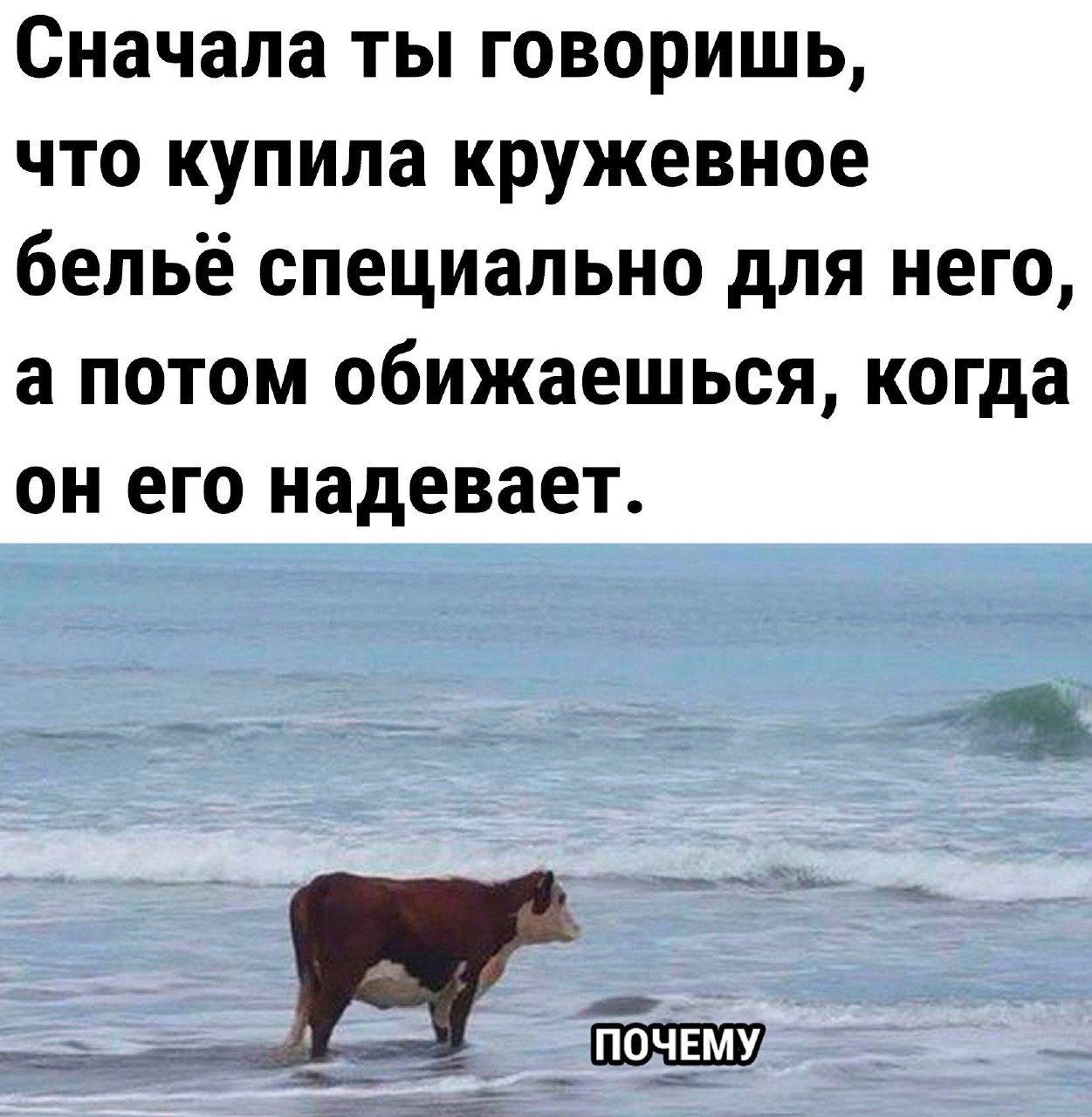 WhatsApp Image 2023-09-25 at 09.15.31.jpeg