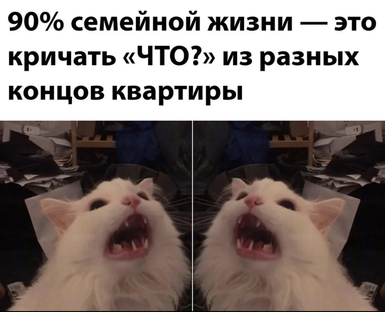 WhatsApp Image 2023-10-10 at 08.22.34.webp