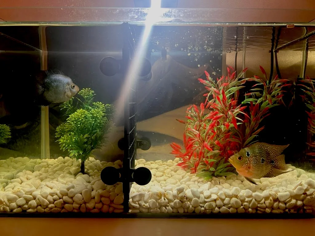 WhatsApp Image 2023-10-28 at 16.08.30.webp