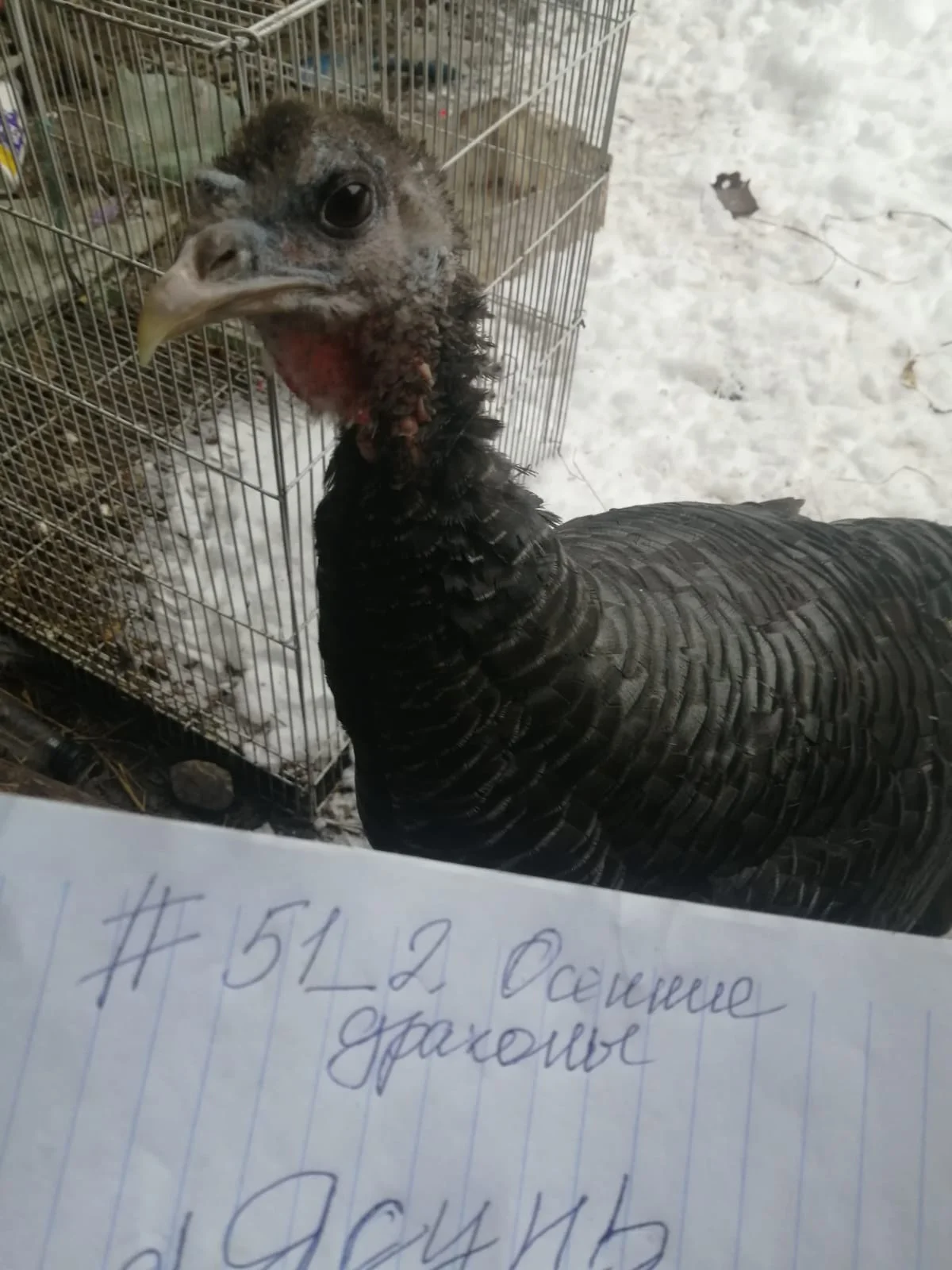 WhatsApp Image 2023-10-30 at 14.18.37.webp