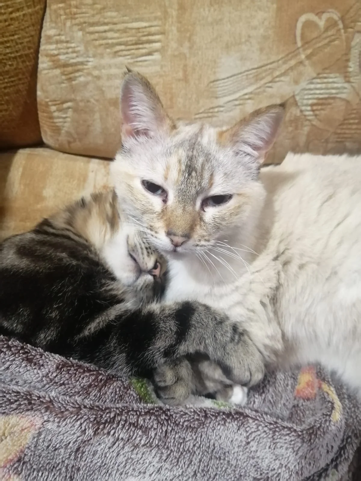 WhatsApp Image 2023-12-04 at 22.37.25.webp