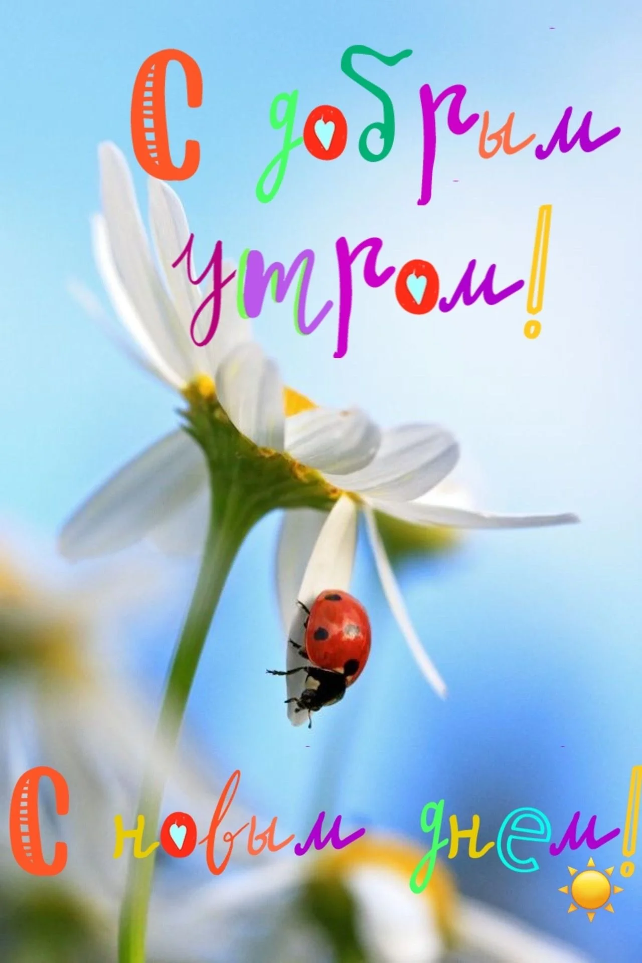 WhatsApp Image 2024-01-19 at 09.17.24.jpeg