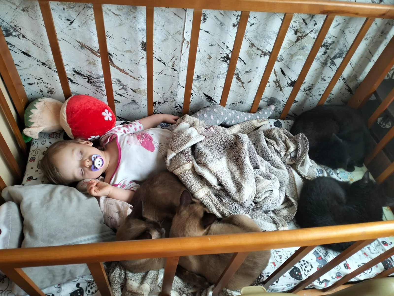 WhatsApp Image 2024-05-06 at 13.34.24.webp