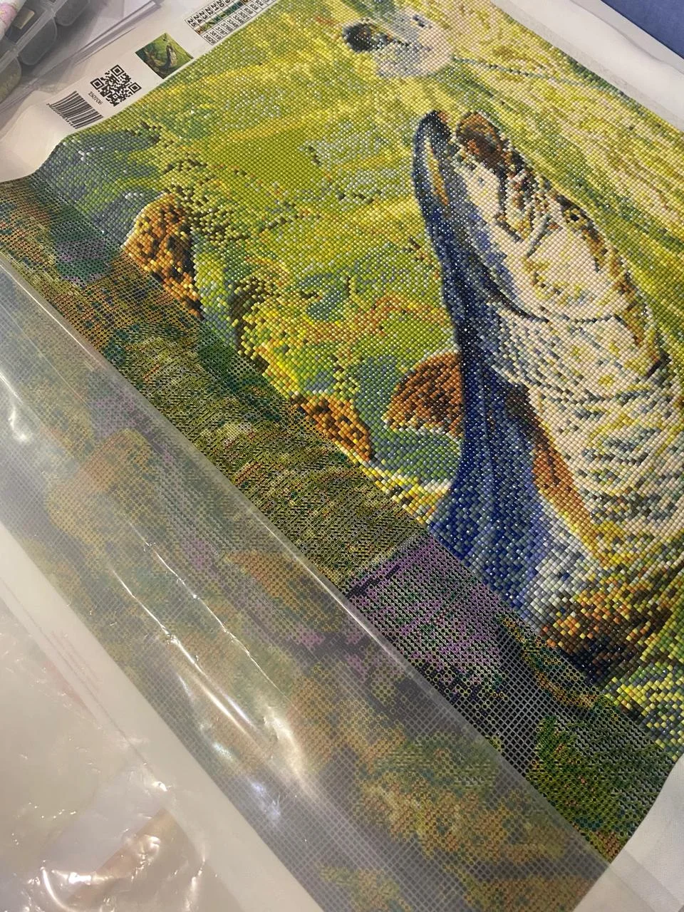 WhatsApp Image 2024-07-30 at 08.43.18.webp