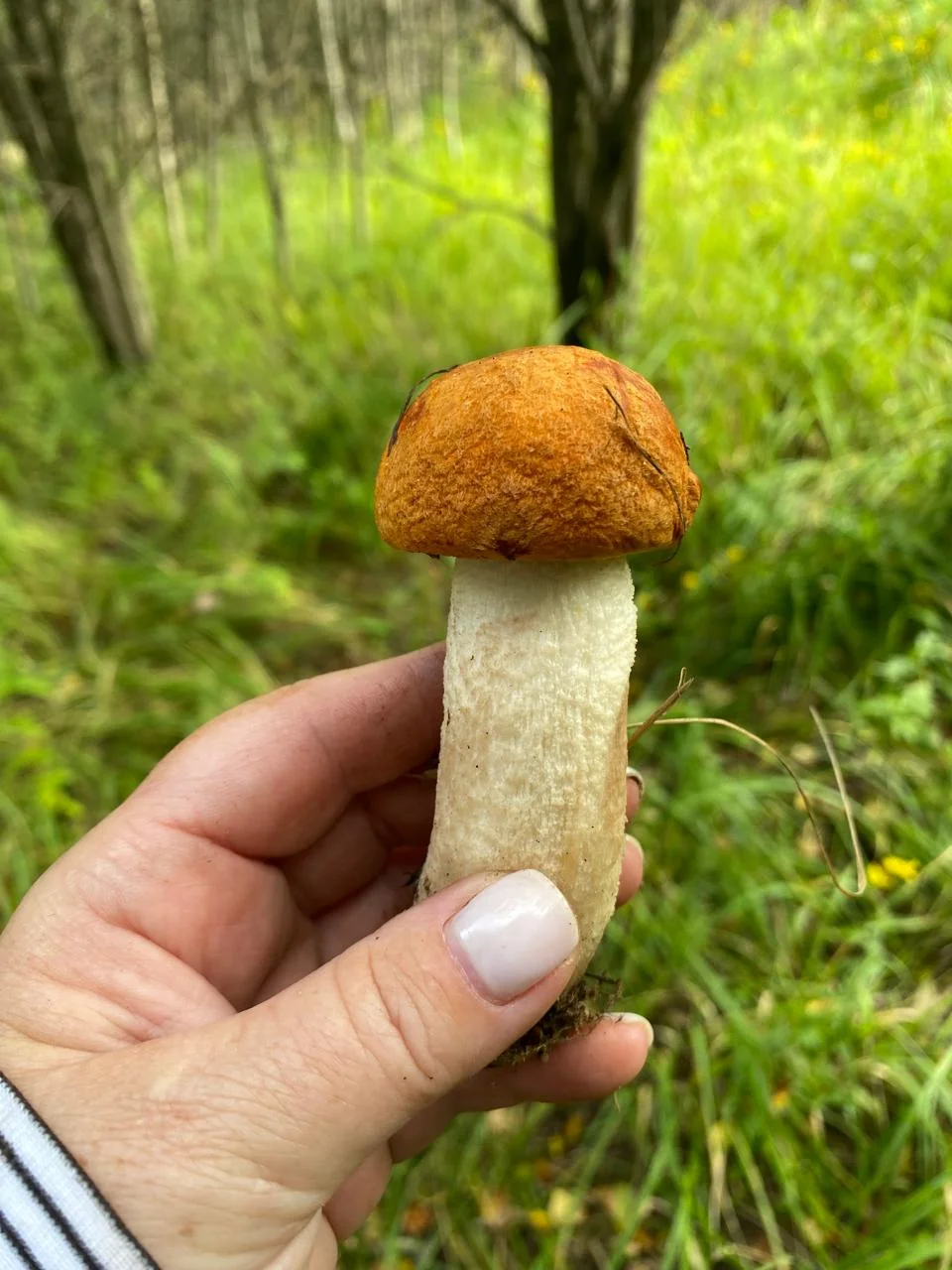 WhatsApp Image 2024-08-17 at 13.25.41.webp