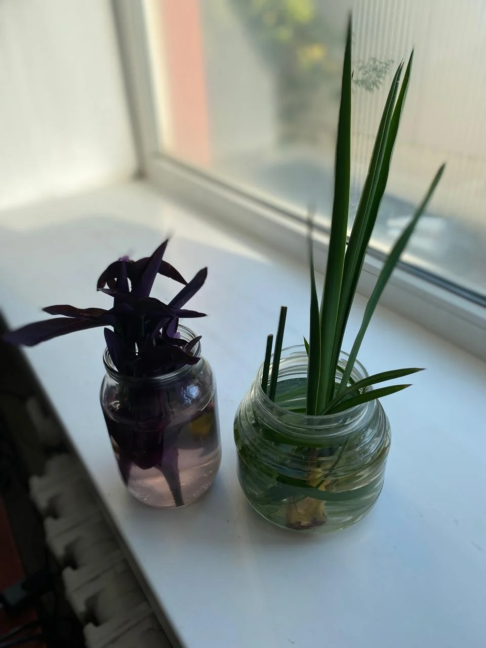 WhatsApp Image 2024-08-26 at 16.59.53 (1).webp