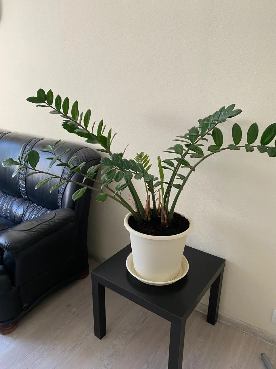 WhatsApp Image 2024-08-26 at 16.59.53 (2).webp