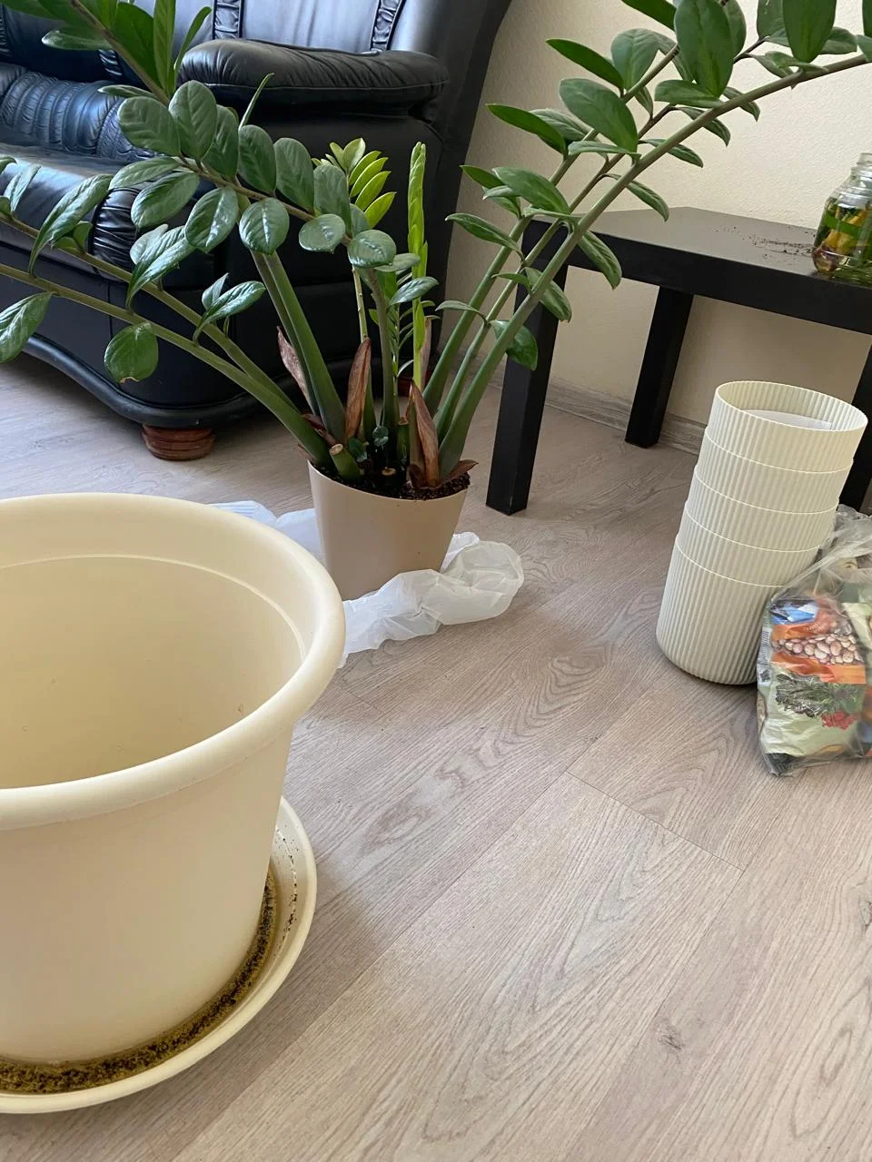 WhatsApp Image 2024-08-26 at 16.59.53.webp