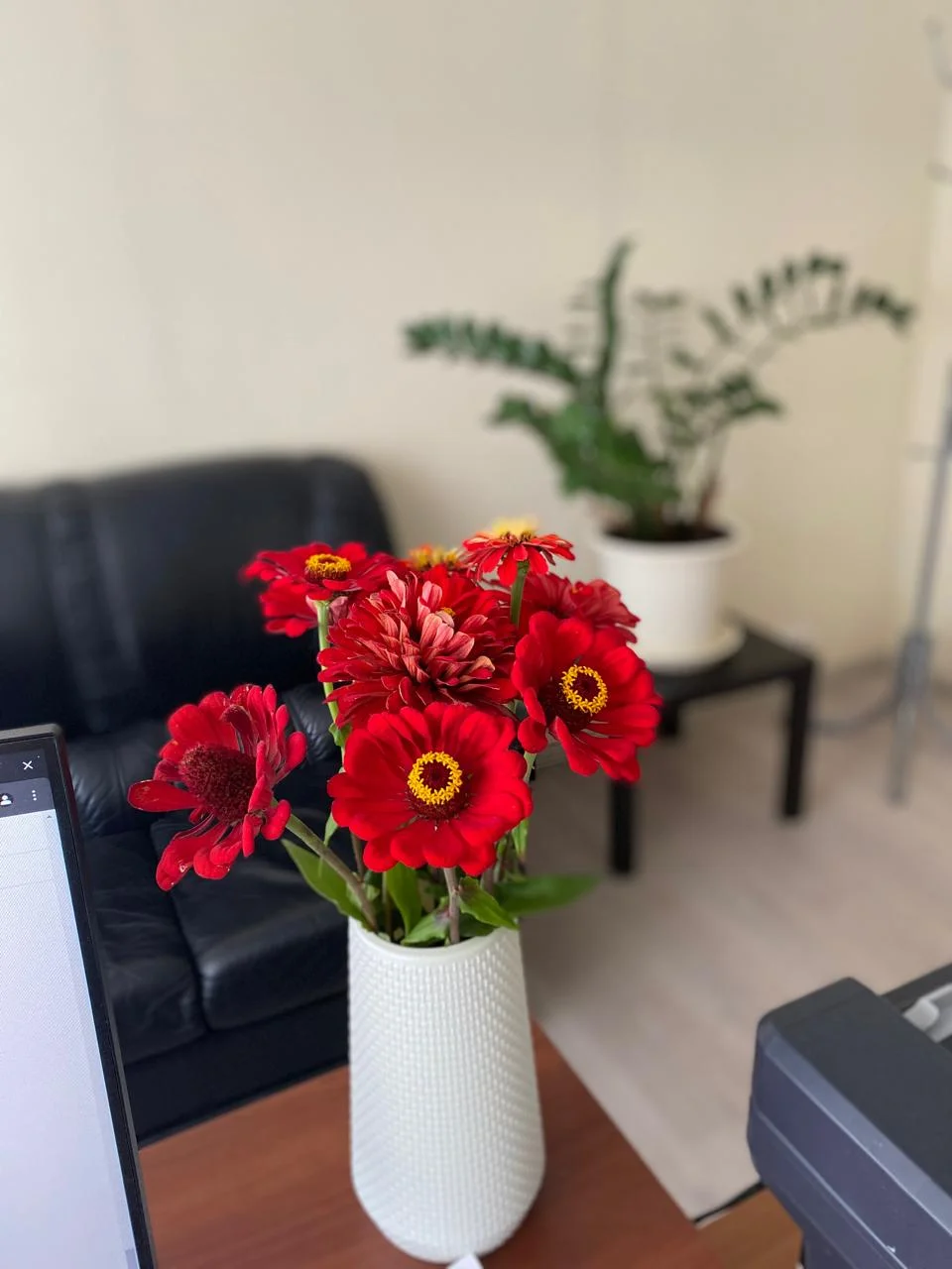 WhatsApp Image 2024-08-26 at 17.00.02.webp