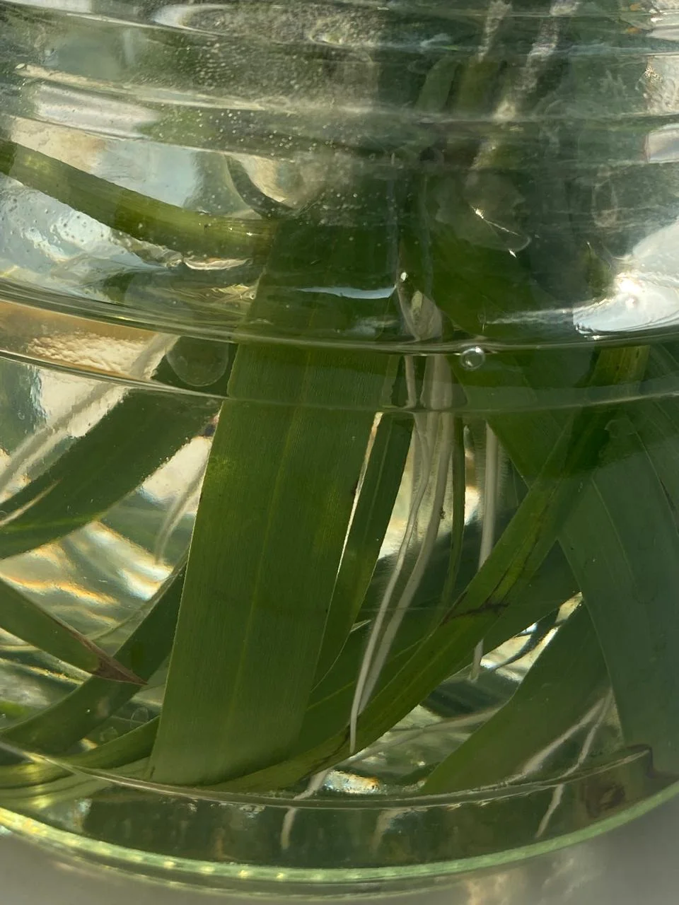 WhatsApp Image 2024-08-28 at 16.01.47 (1).webp