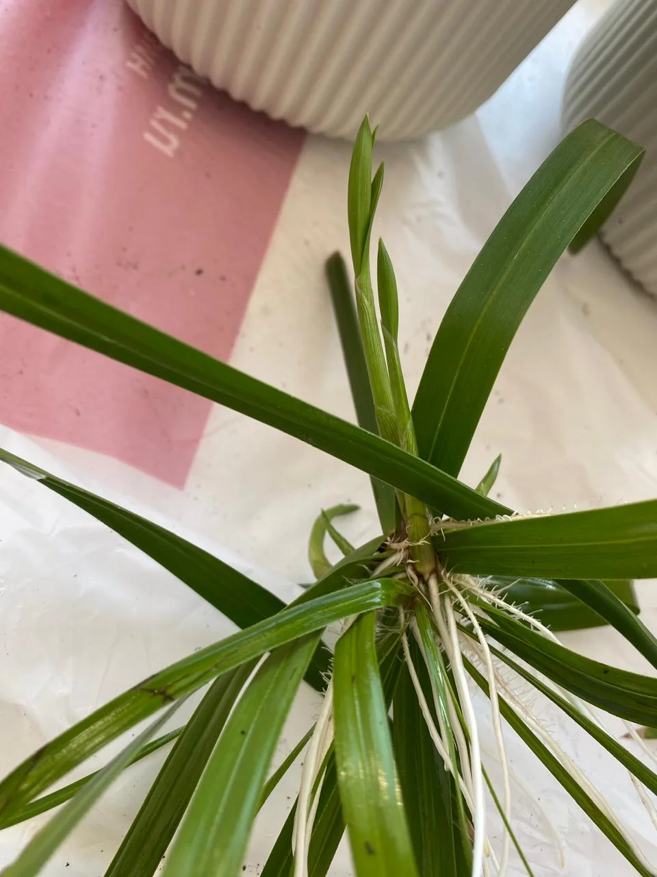 WhatsApp Image 2024-08-29 at 19.38.47 (1).jpeg