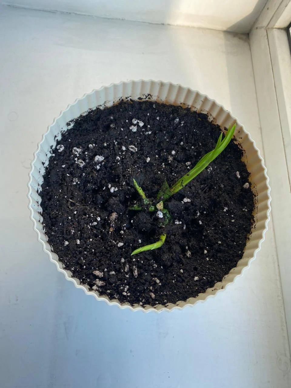 WhatsApp Image 2024-08-29 at 19.38.47 (3).webp