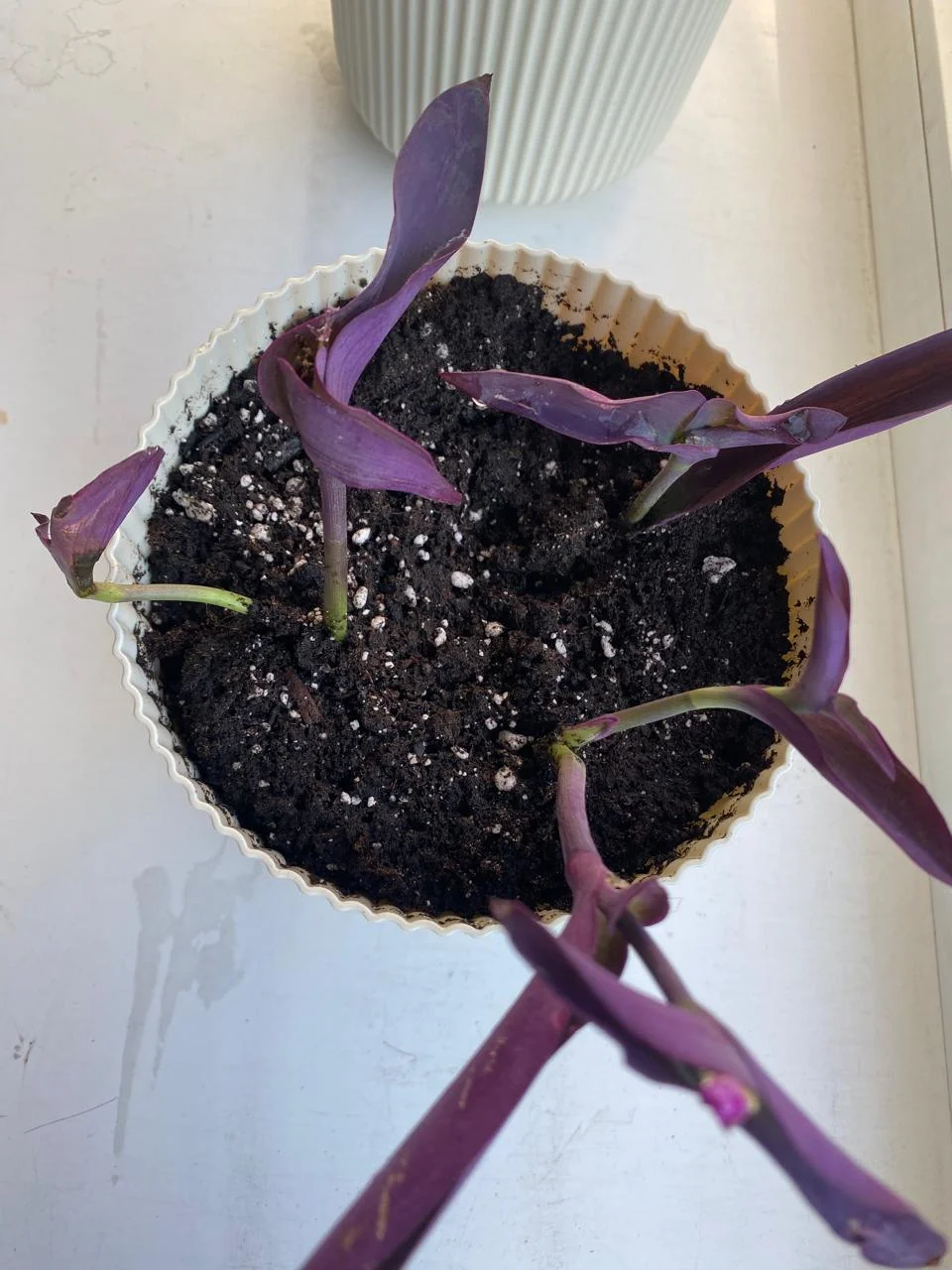 WhatsApp Image 2024-08-29 at 19.38.47 (4).jpeg