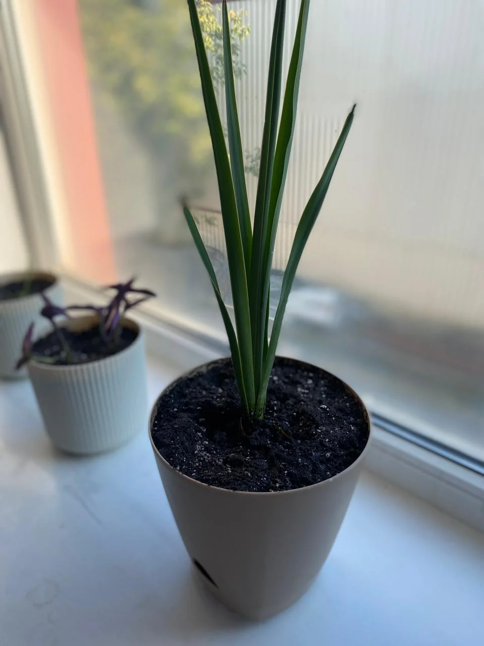 WhatsApp Image 2024-08-29 at 19.38.47 (5).jpeg