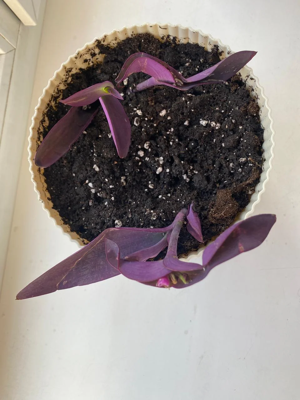 WhatsApp Image 2024-08-29 at 19.38.47 (6).webp