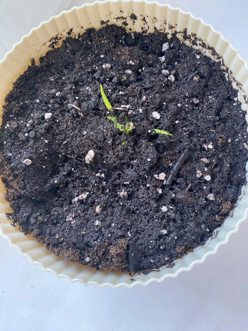 WhatsApp Image 2024-08-29 at 19.38.47 (7).jpeg