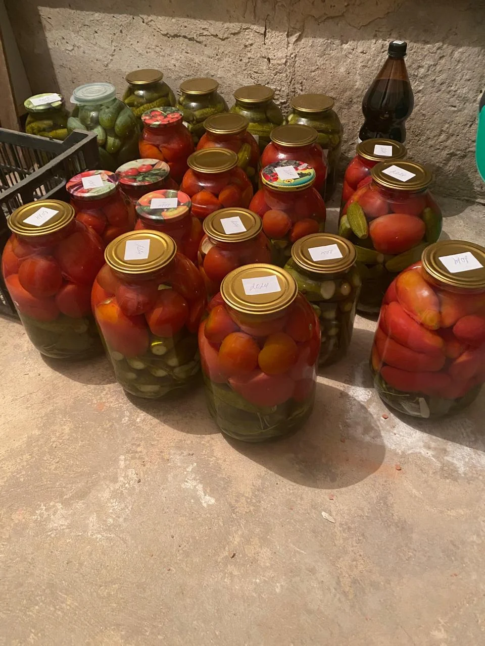 WhatsApp Image 2024-09-03 at 08.35.53 (1).webp