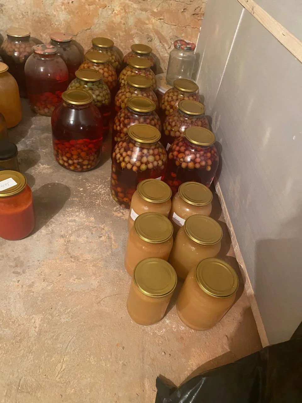 WhatsApp Image 2024-09-03 at 08.35.53 (2).webp