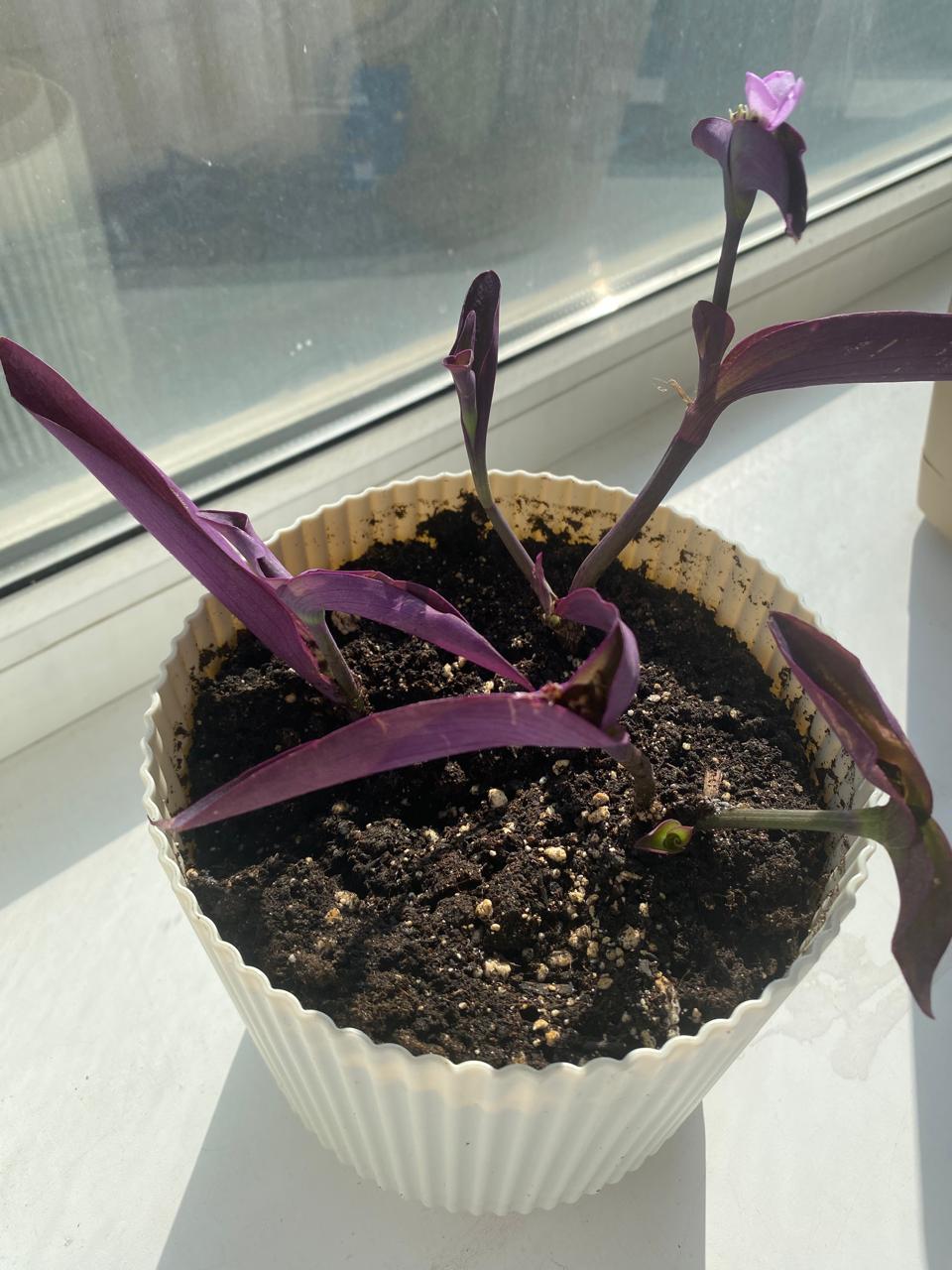 WhatsApp Image 2024-09-05 at 22.02.41 (1).jpeg