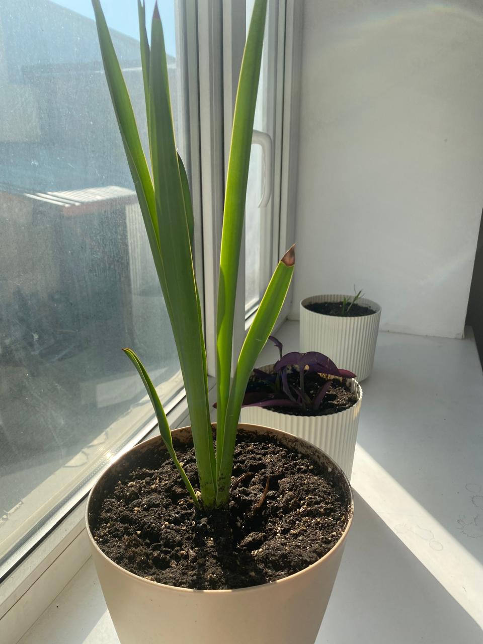 WhatsApp Image 2024-09-05 at 22.02.41 (2).jpeg