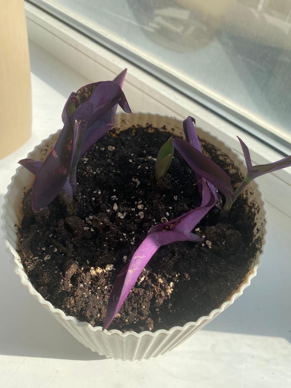 WhatsApp Image 2024-09-05 at 22.02.41 (3).jpeg