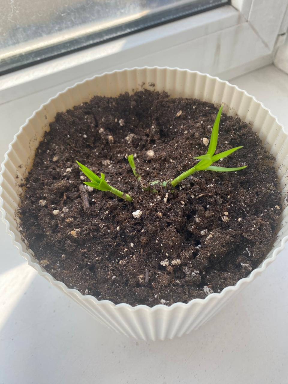 WhatsApp Image 2024-09-05 at 22.02.41 (4).jpeg