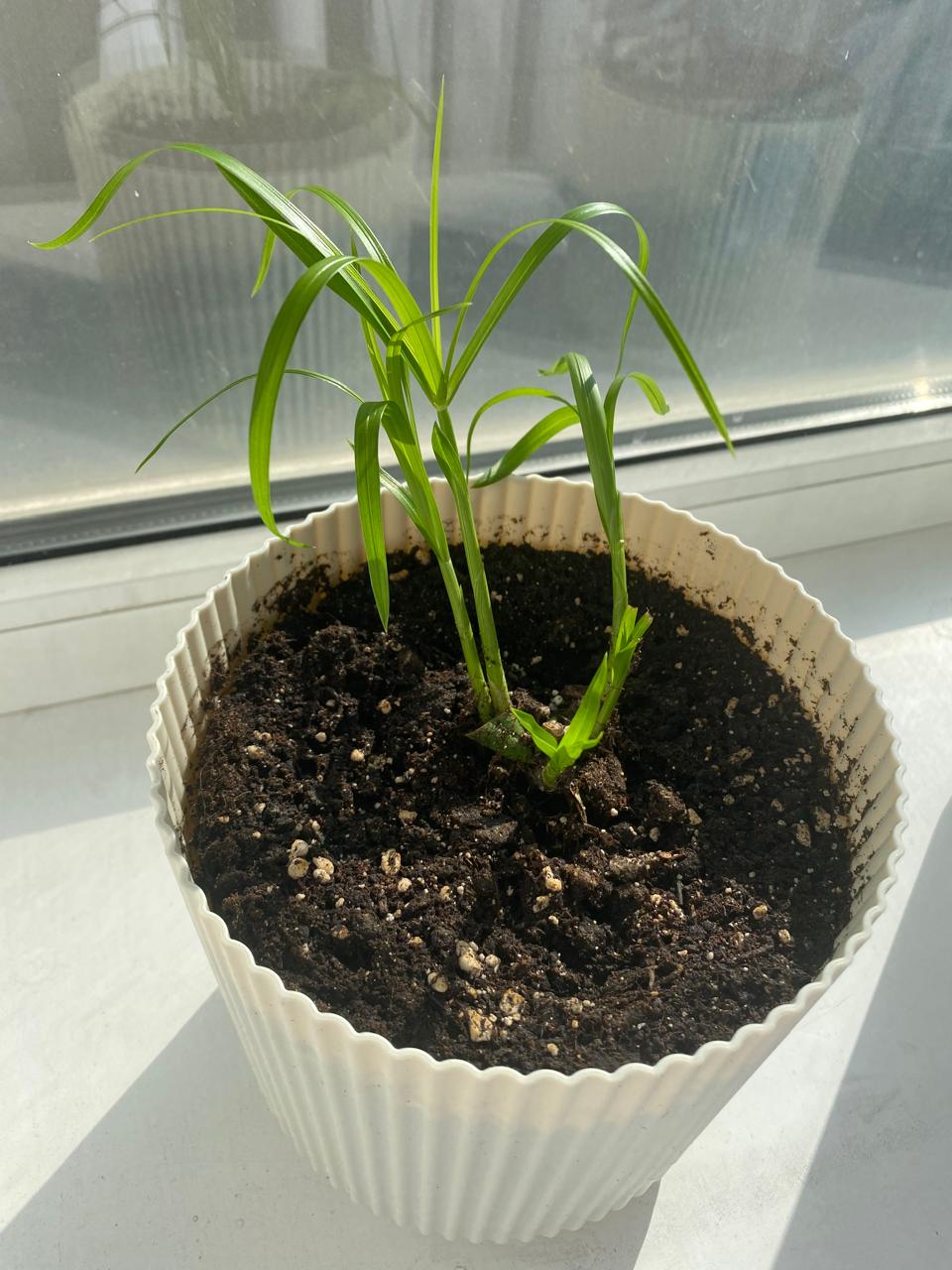 WhatsApp Image 2024-09-05 at 22.02.41.jpeg