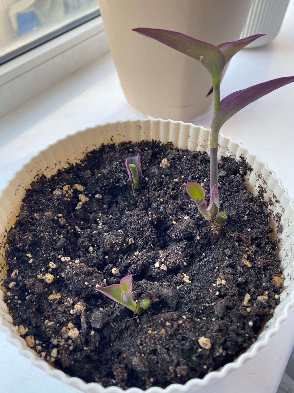 WhatsApp Image 2024-09-09 at 08.59.41.jpeg