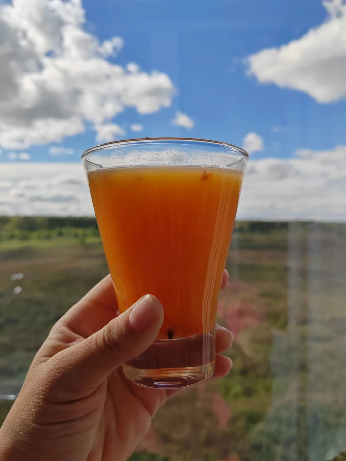 WhatsApp Image 2024-09-11 at 14.36.47.webp