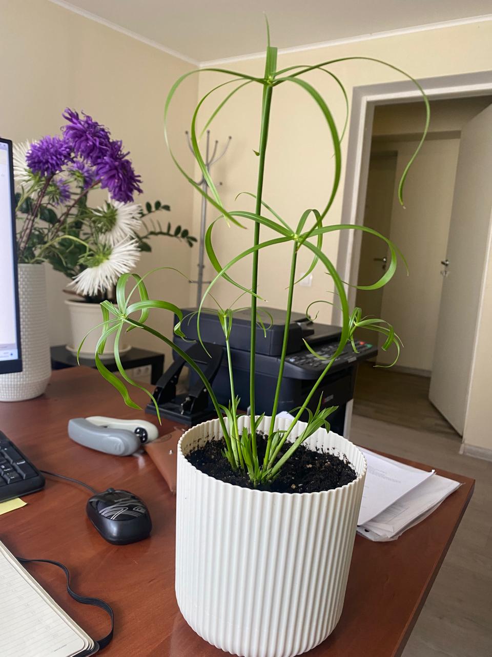 WhatsApp Image 2024-09-12 at 09.38.55.jpeg