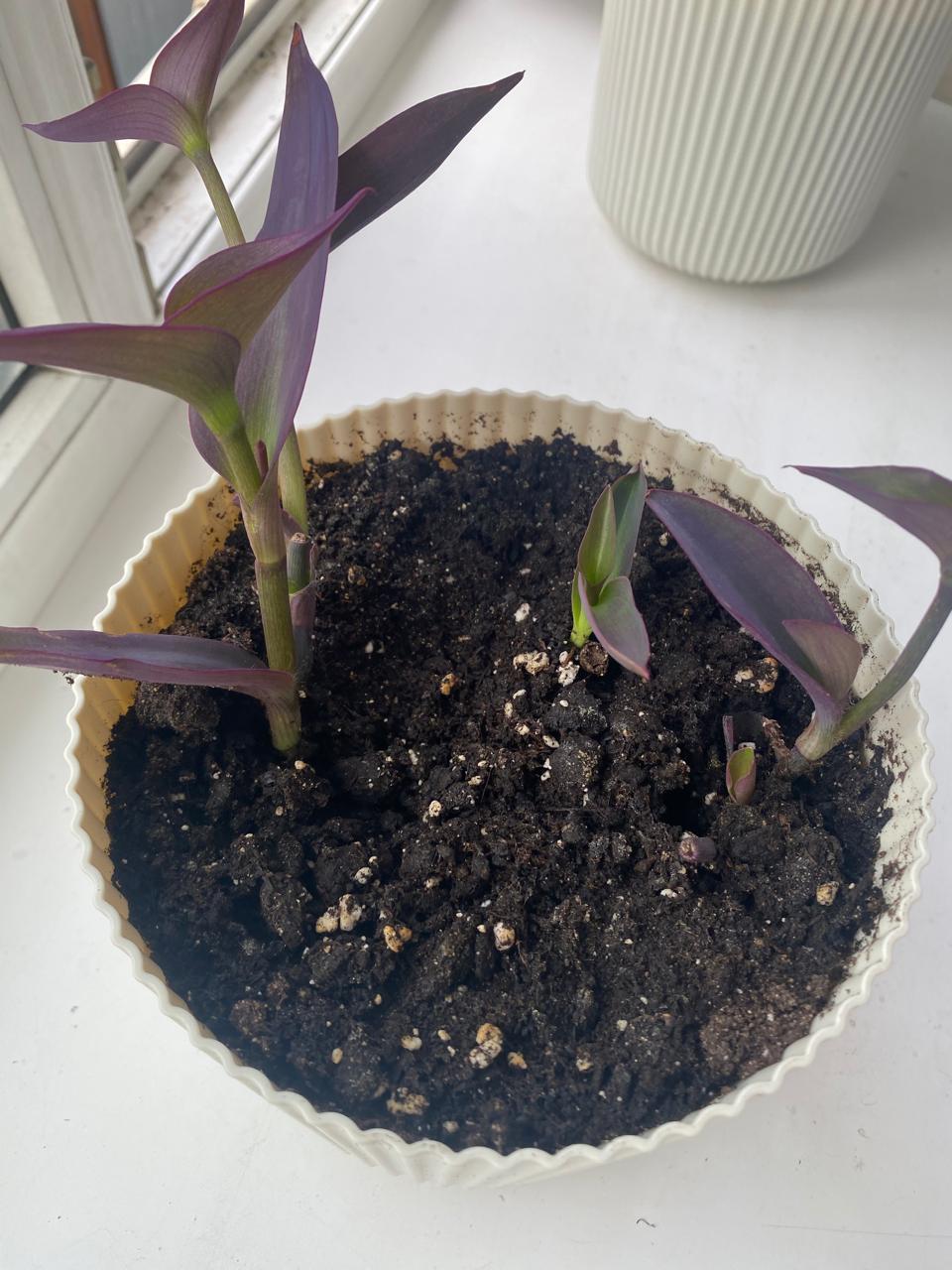 WhatsApp Image 2024-09-12 at 09.38.56 (1).jpeg