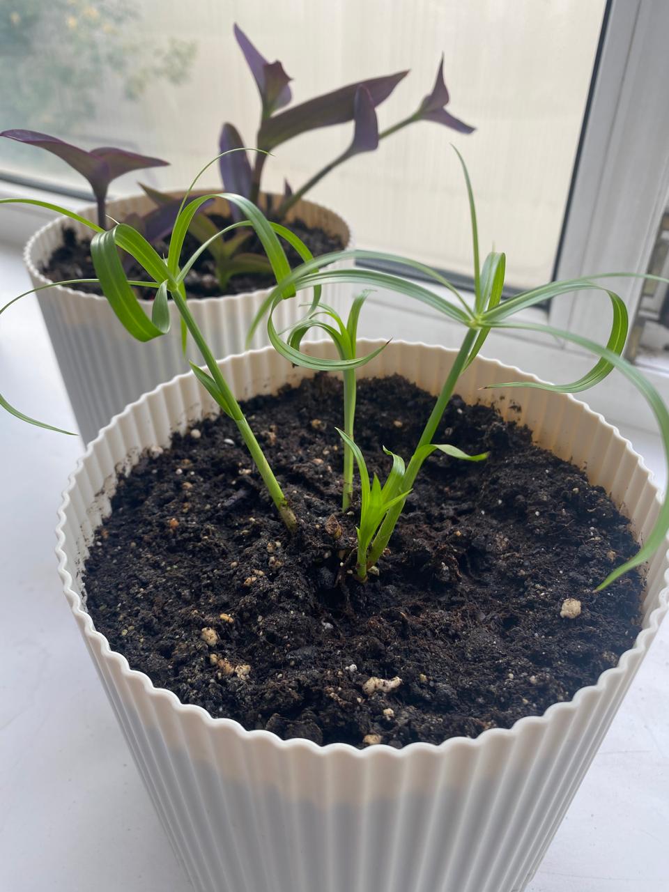 WhatsApp Image 2024-09-12 at 09.38.56 (2).jpeg